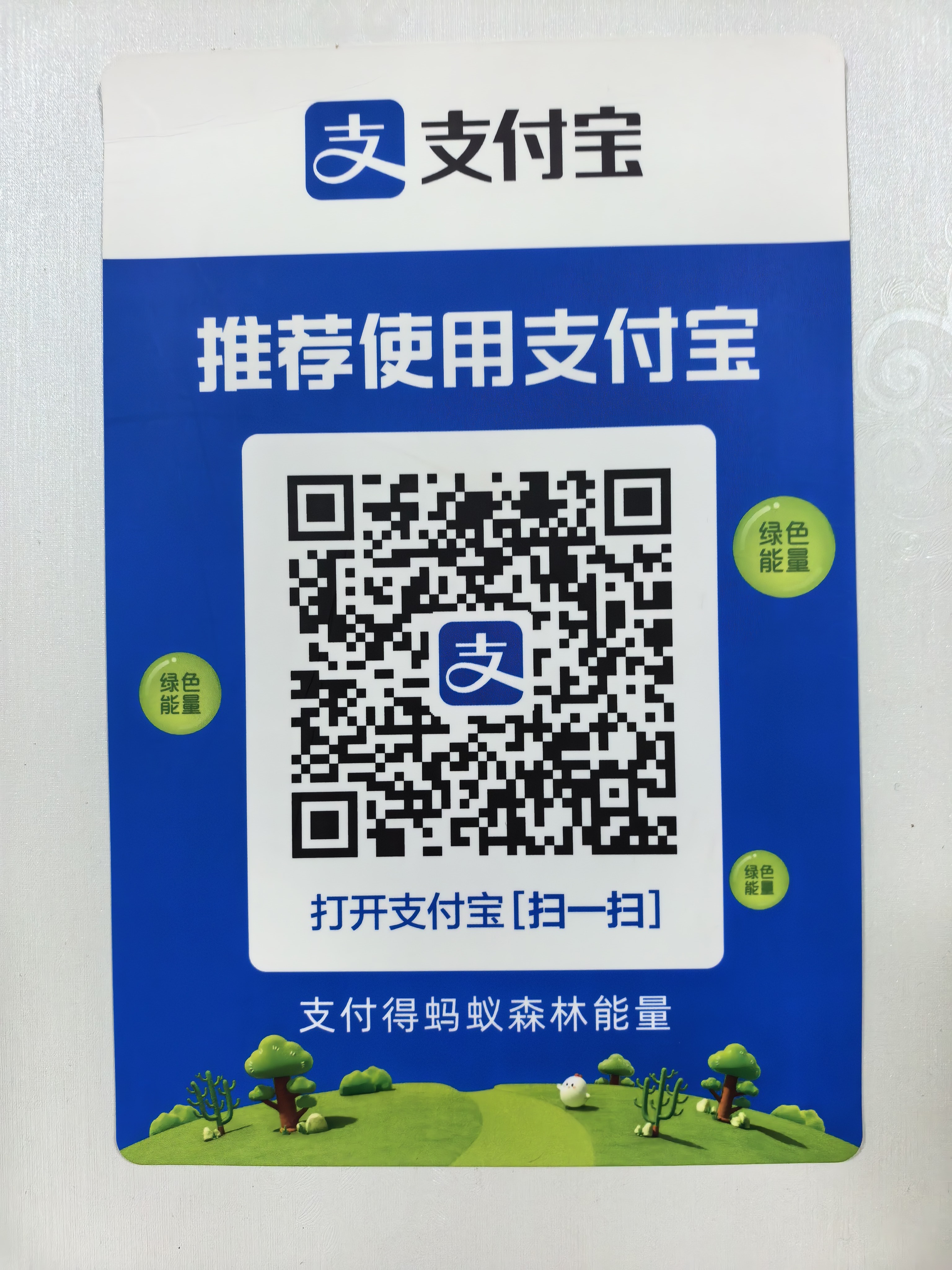 Alipay QR Code
