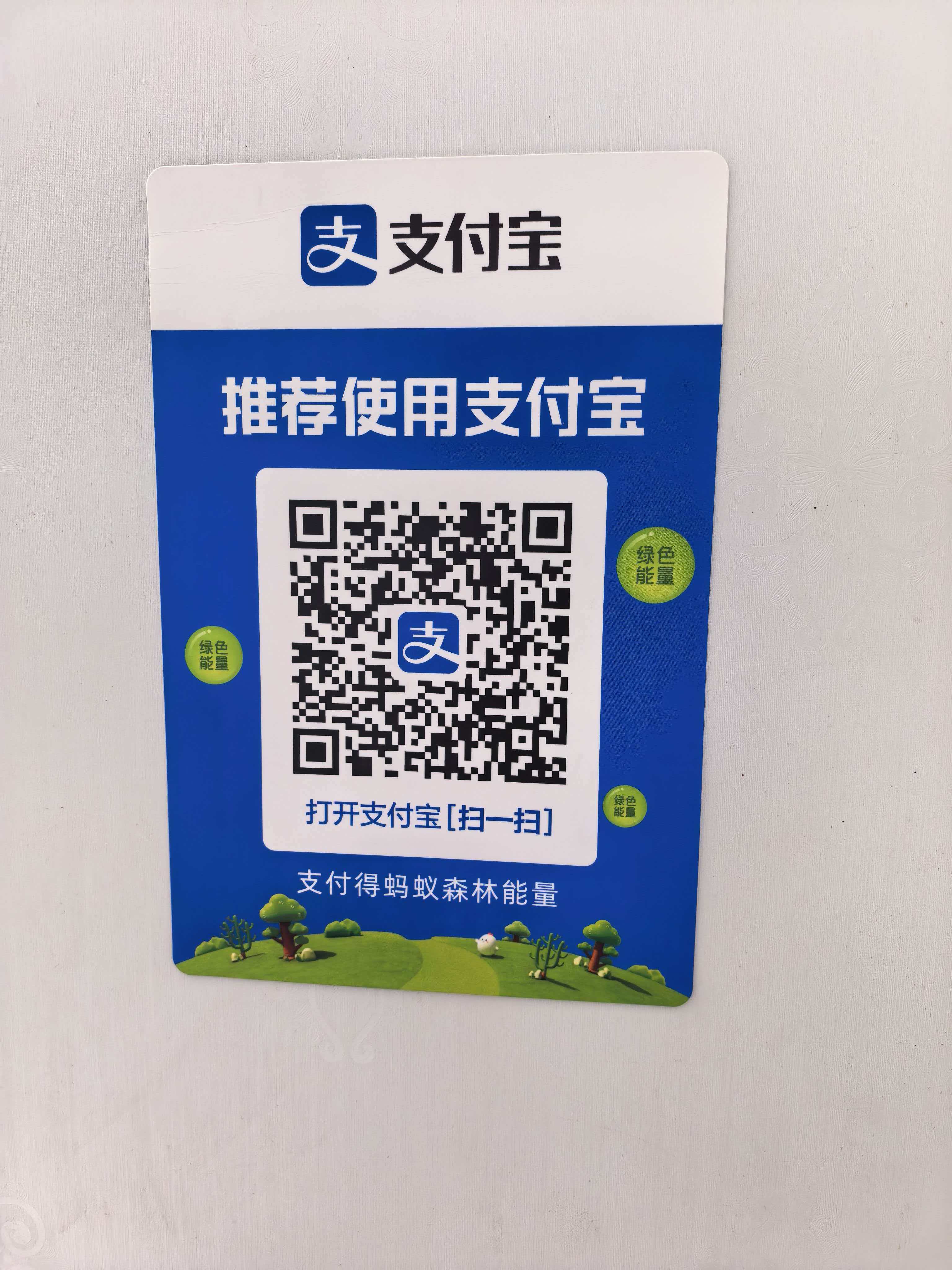 Alipay QR Code